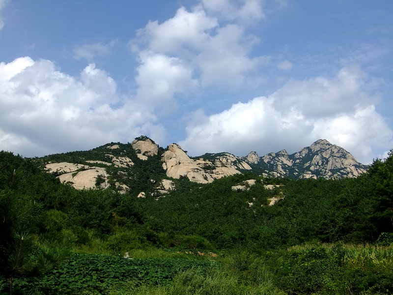 DSCF2930.jpg