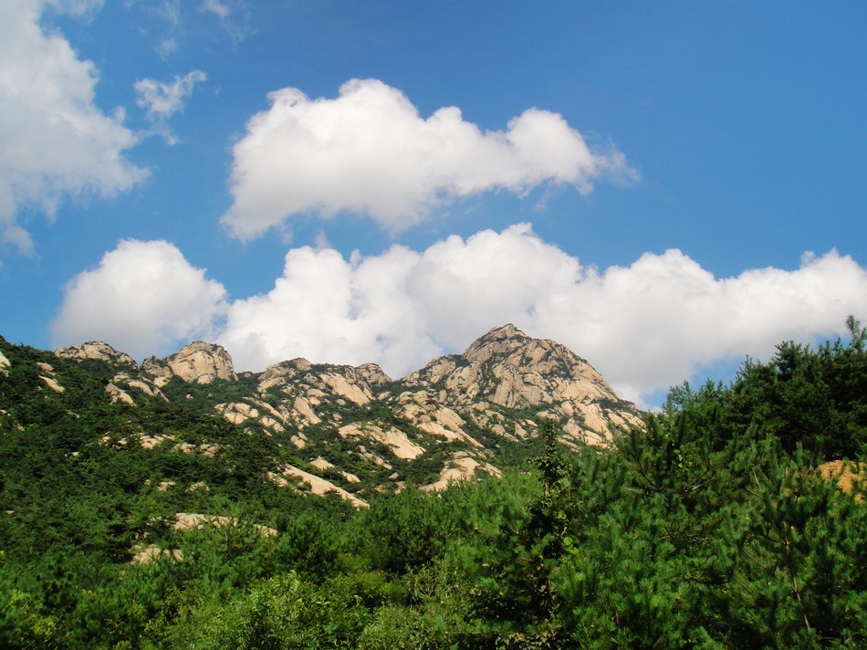 DSC05413.jpg