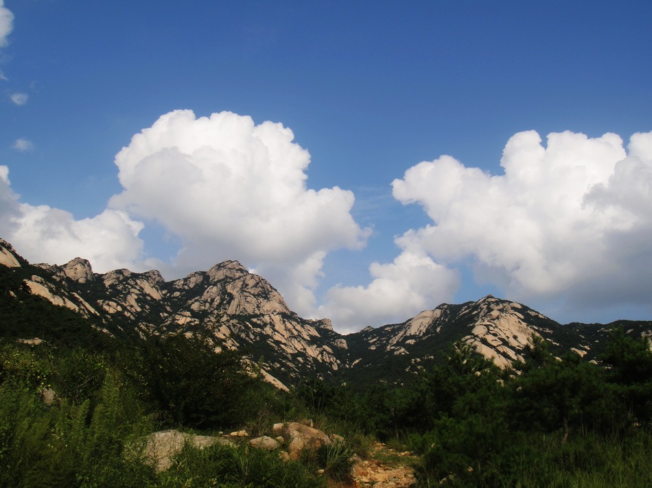 DSC05458.jpg