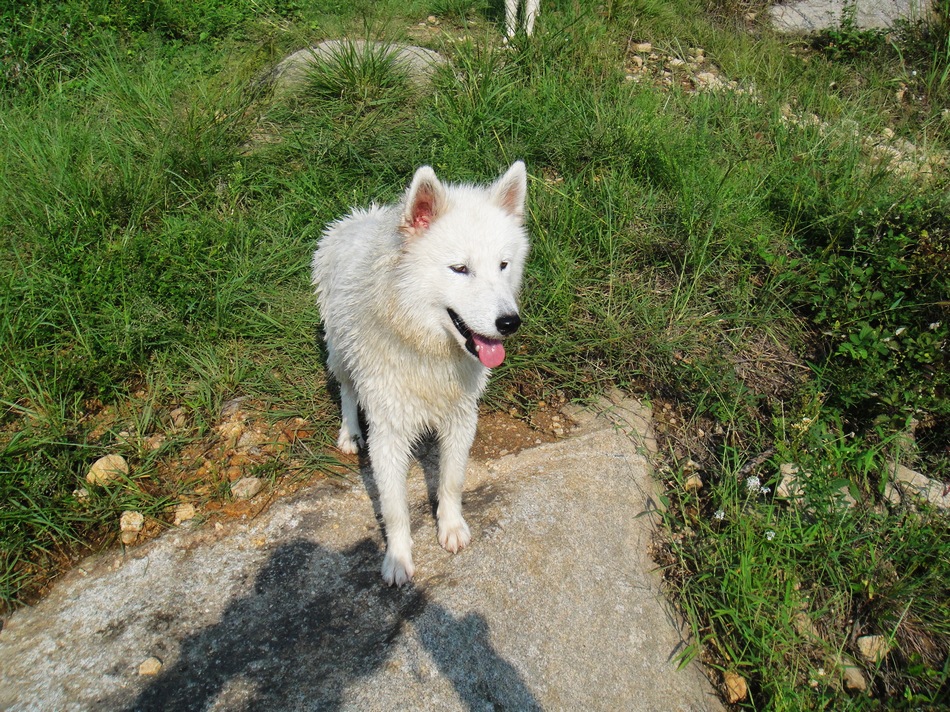 DSC05452.jpg