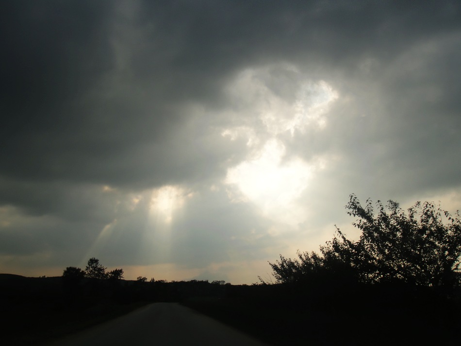 DSC05473.jpg