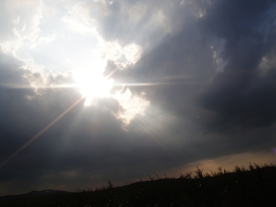 DSC05471.jpg