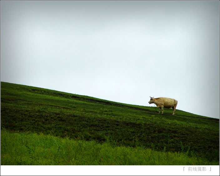 DSC07585-1.jpg