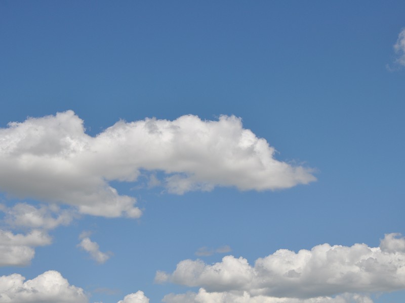 PhotoCap_263.jpg