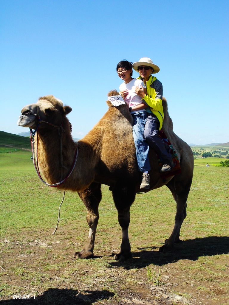 DSC07682-1.jpg