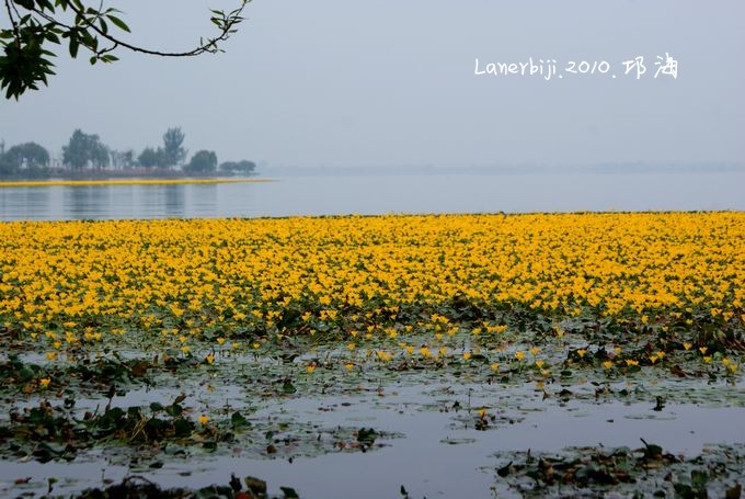 DSC07836_conew1.jpg