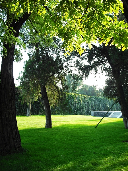 DSCF0364.jpg