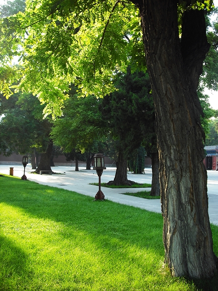 DSCF0360.jpg