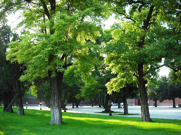 DSCF0371.jpg