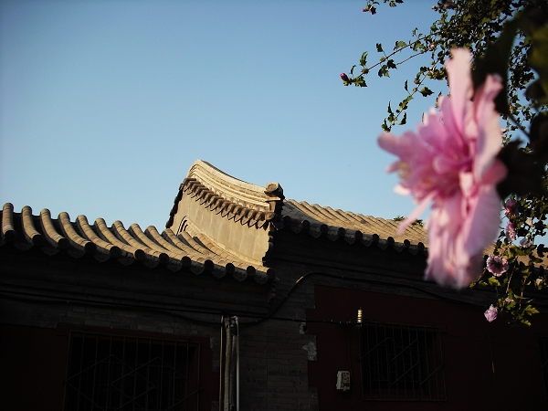 DSCF0385.jpg