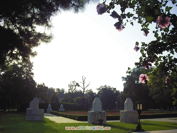 DSCF0374.jpg