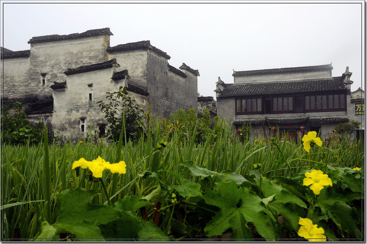 宏村 (1).jpg