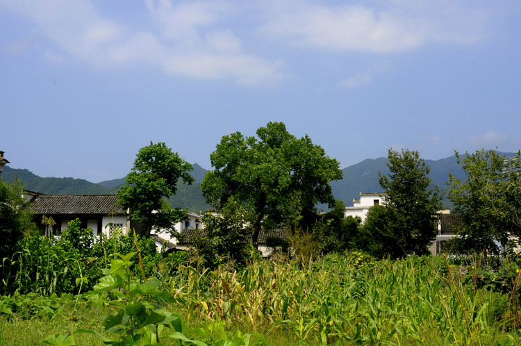村落 (3).jpg