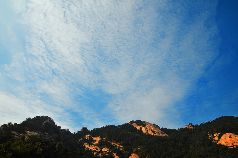 DSC_6471.jpg