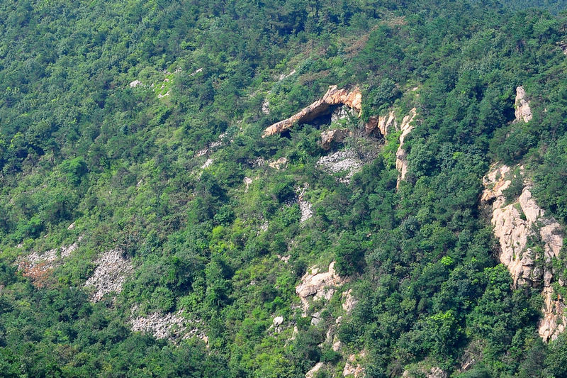 DSC_6506.jpg
