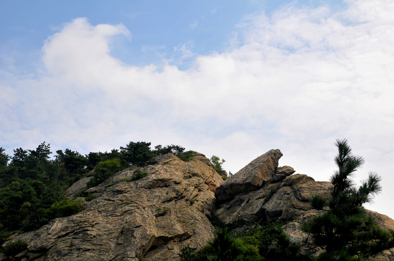DSC_6521.jpg
