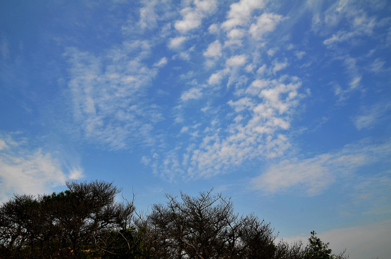 DSC_6558.jpg