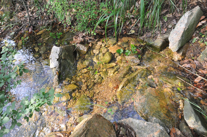 DSC_6559.jpg