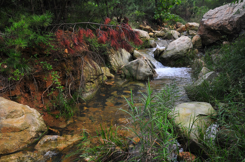 DSC_6580.jpg