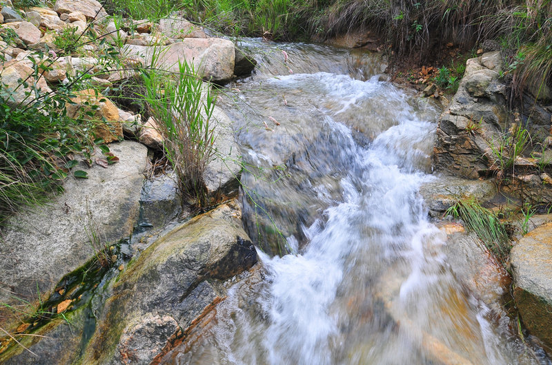 DSC_6593.jpg