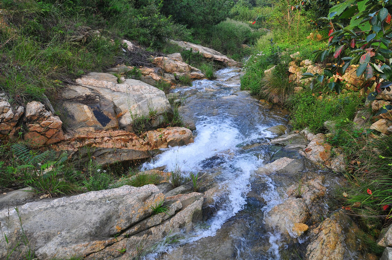 DSC_6606.jpg