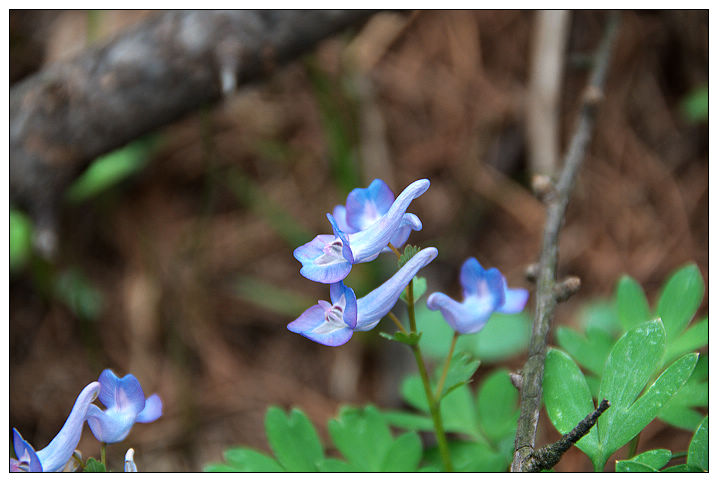 2010.5.8 昆嵛山 山水