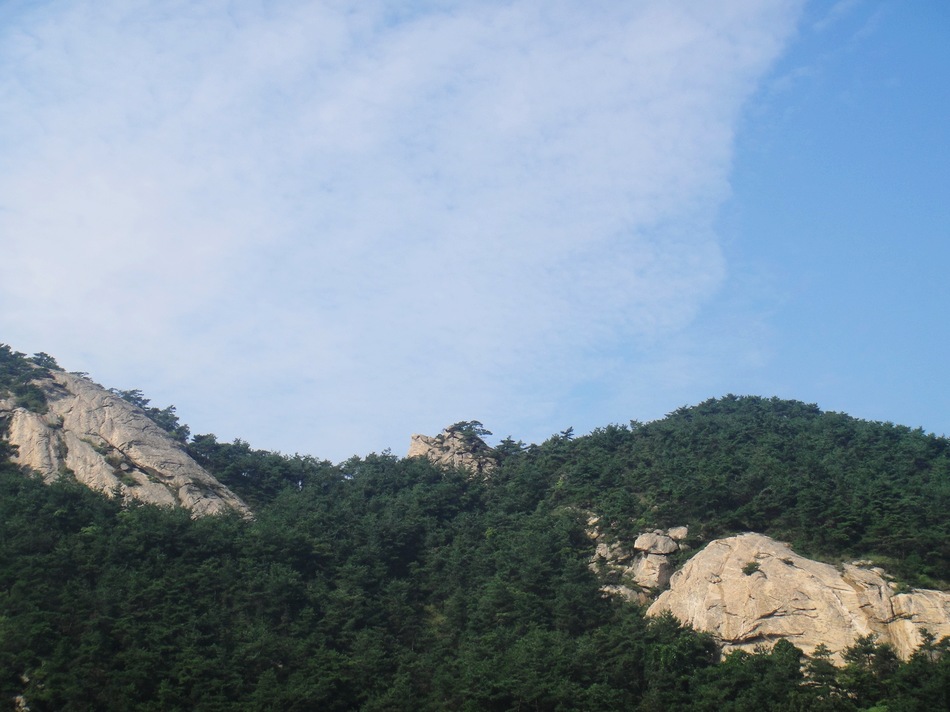 DSC05864.jpg