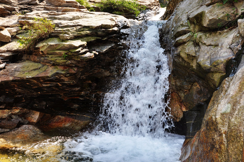 DSC_0241.jpg