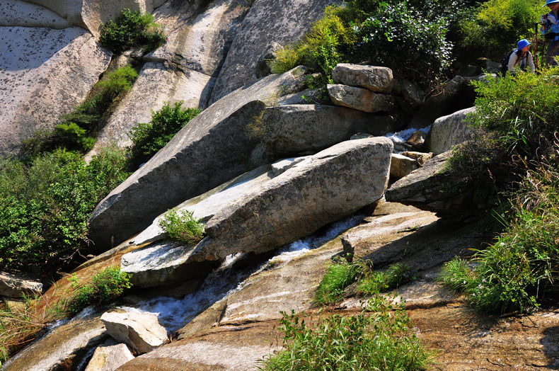 DSC_0265.jpg
