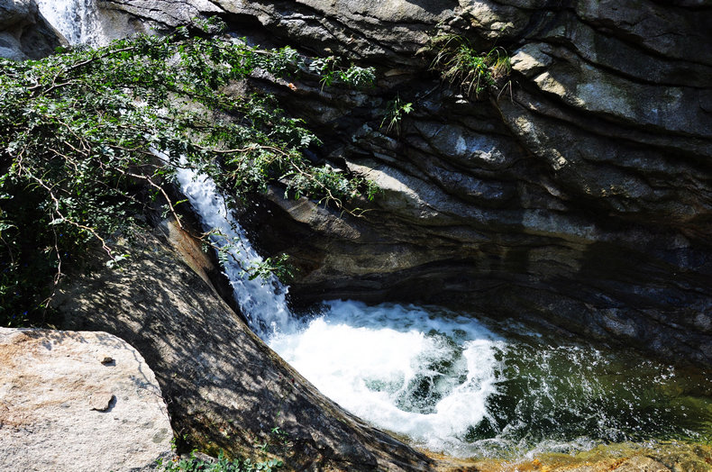 DSC_0247.jpg