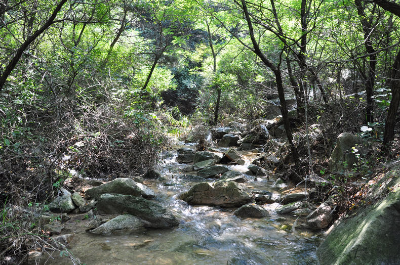 DSC_0257.jpg