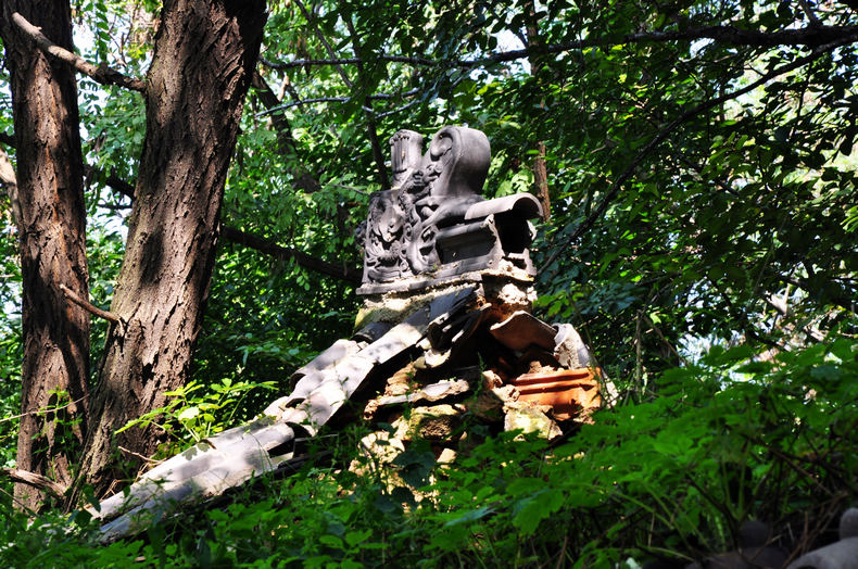 DSC_0308.jpg