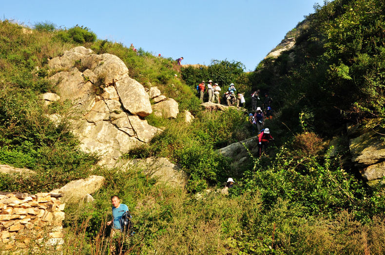 DSC_0337.jpg