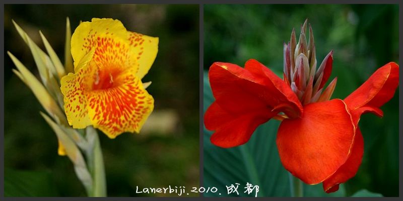 DSC07338_conew2.jpg