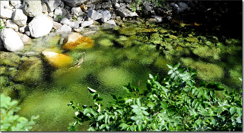 秋天的色彩 (5).jpg