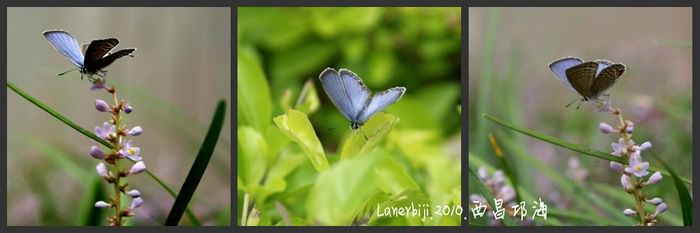 DSC07816_conew1.jpg