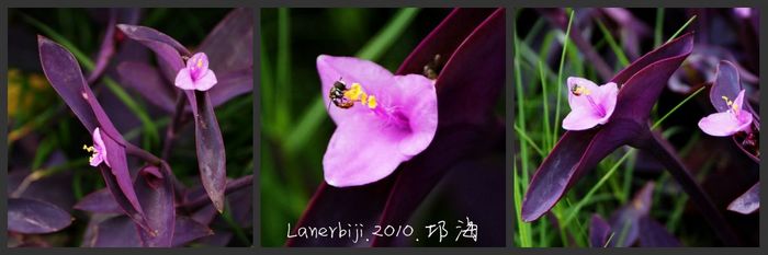 DSC07808_conew1.jpg
