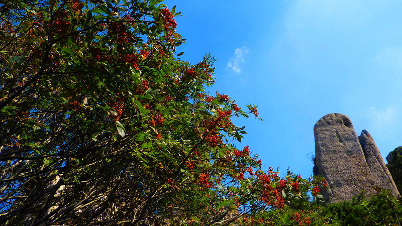 P1020144.JPG