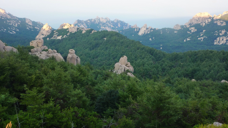 P1020150.JPG