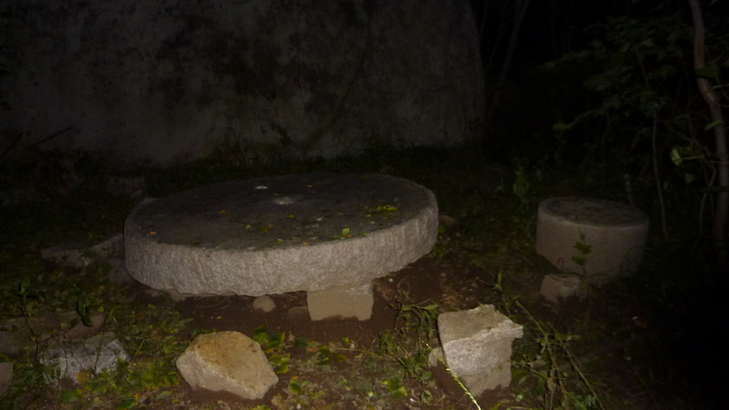 P1020166.JPG