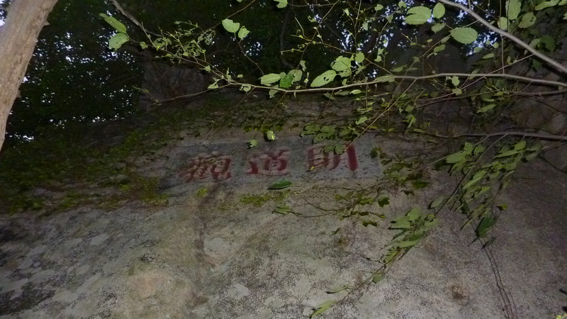 P1020159.JPG