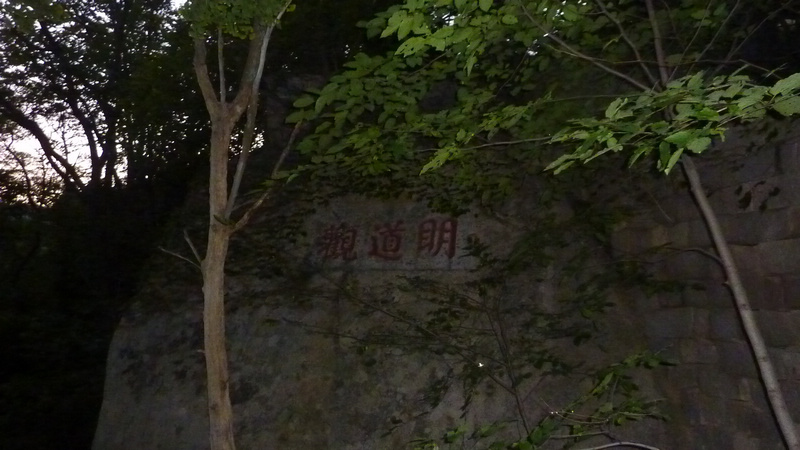 P1020162.JPG