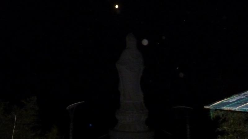 P1020182.JPG