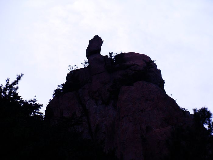 nEO_IMG_DSC08233.jpg