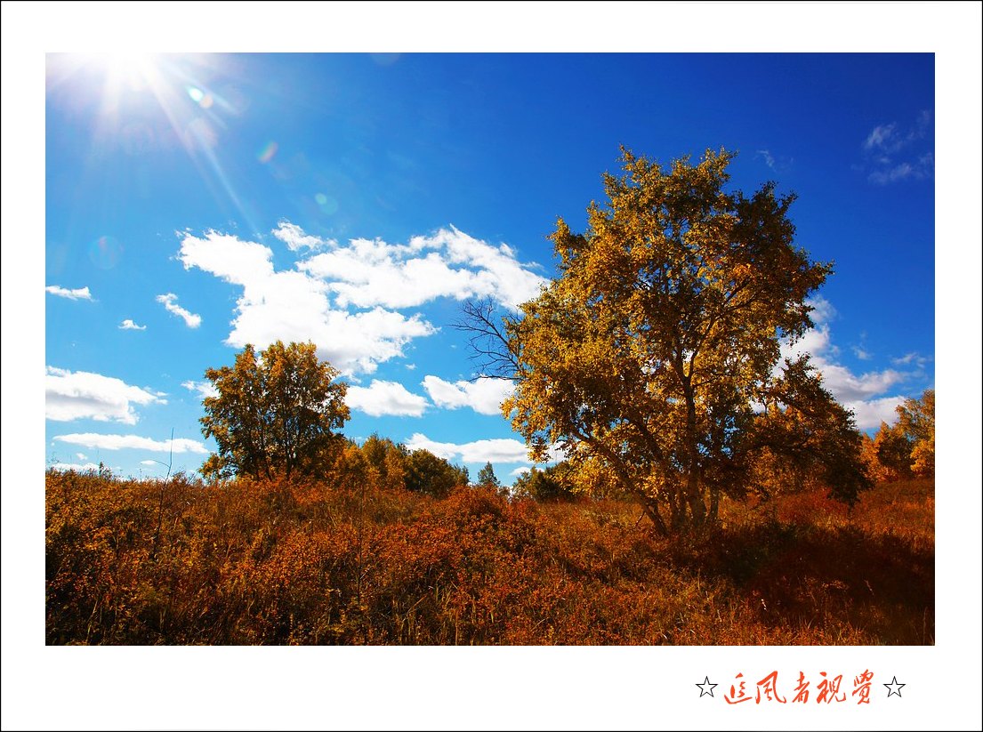 坝上秋色-01.jpg