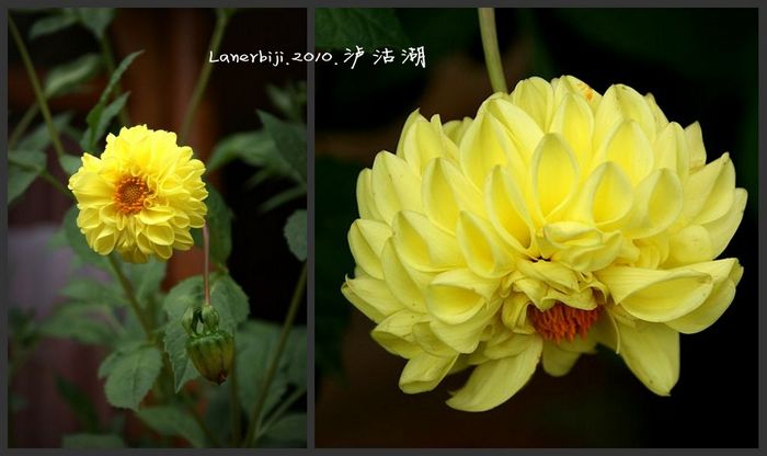 DSC08022_conew1.jpg