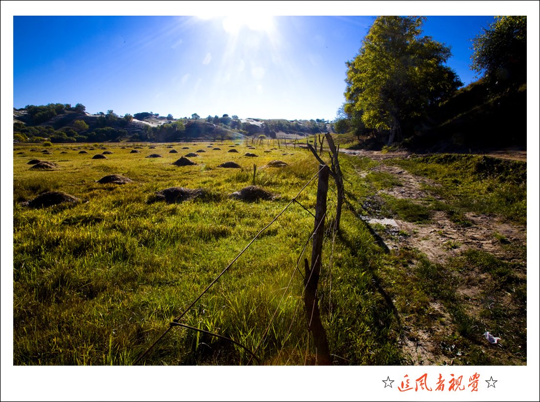 田园风情-01.jpg
