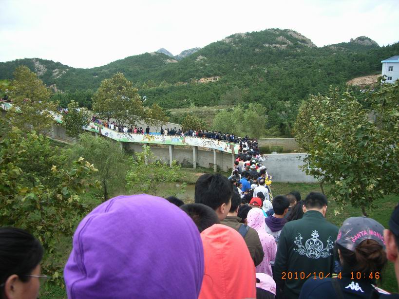 RIMG0826.JPG