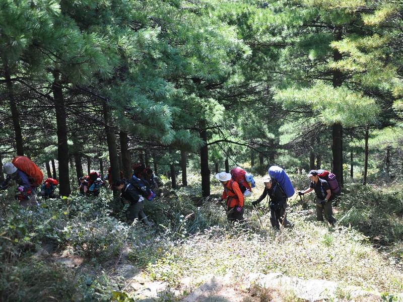 PhotoCap_140.jpg