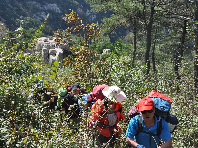 PhotoCap_146.jpg